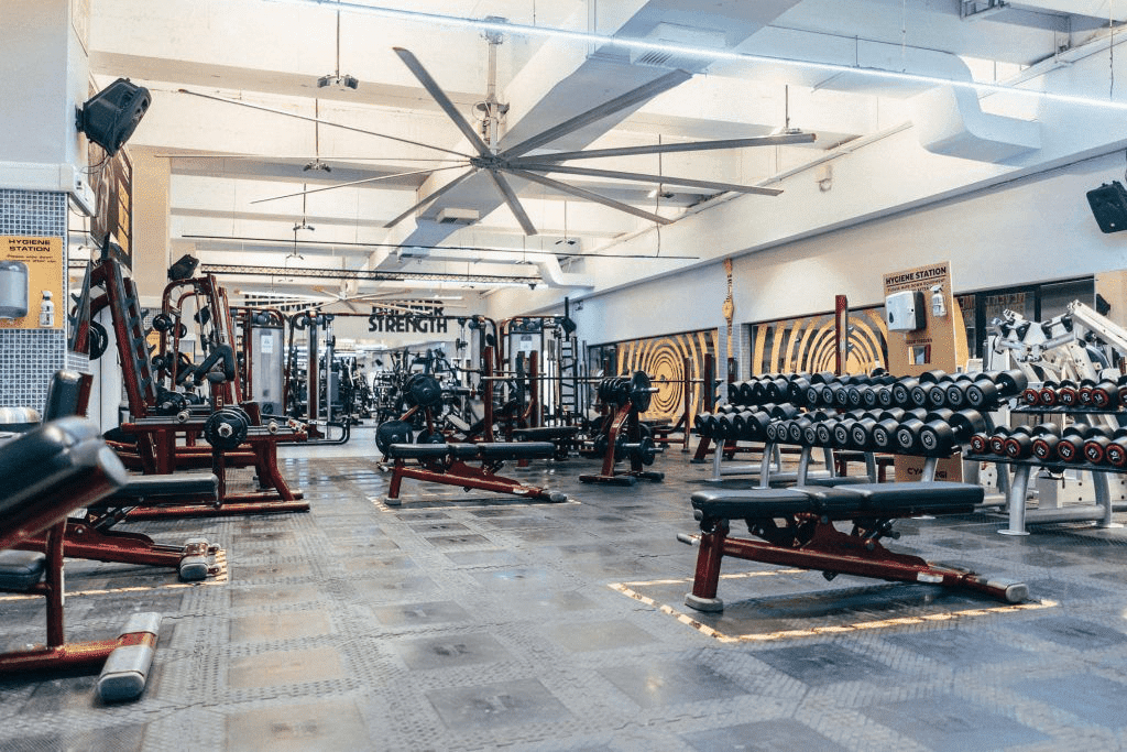 Malta's Premier Gym Experience | Cynergi Health and Fitness | Weight Training